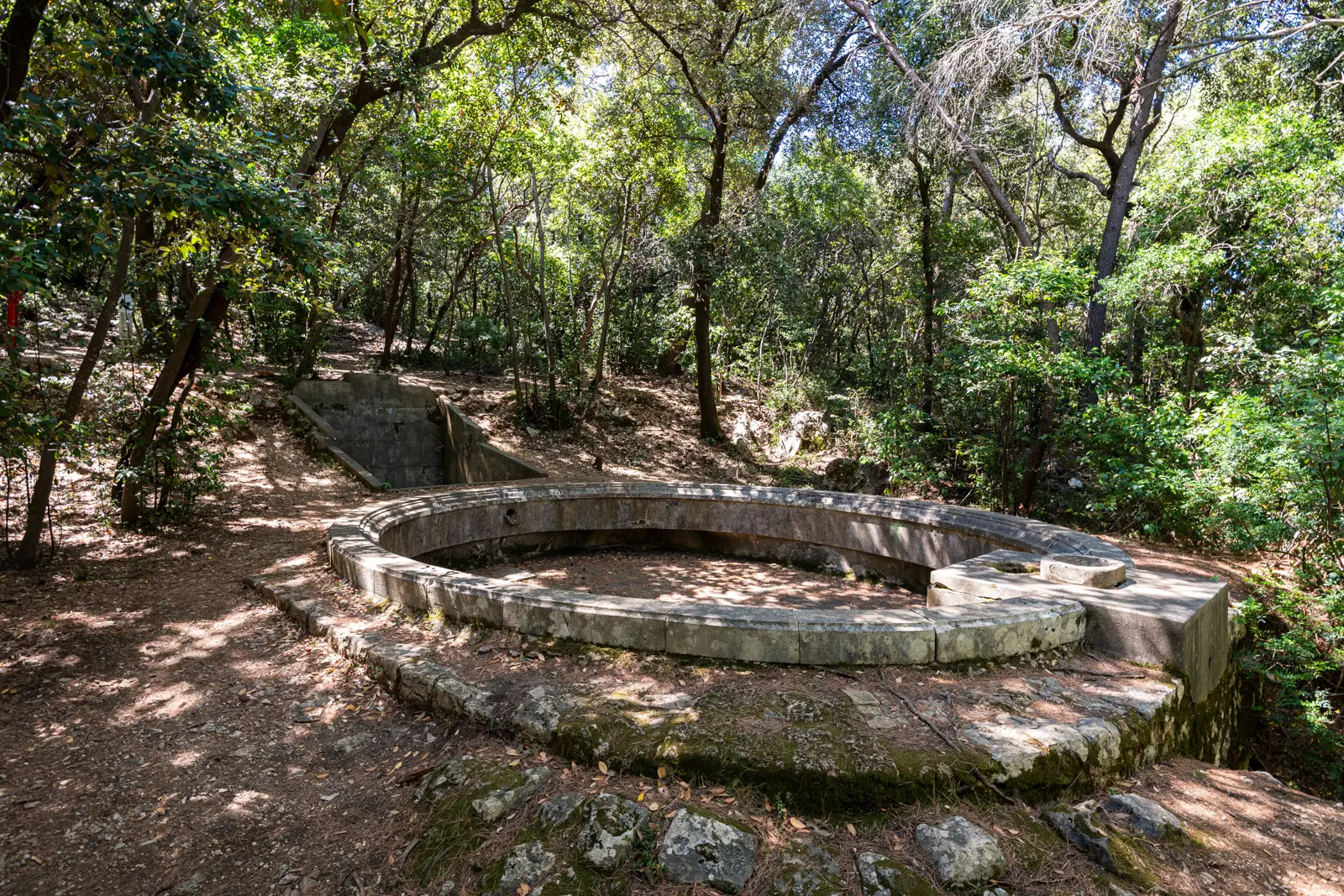 Charlotte’s Well