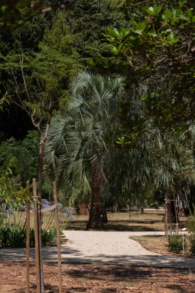 Lokrum botanicki-vrt