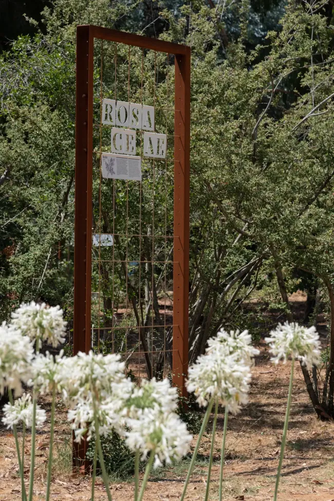 Lokrum botanicki-vrt