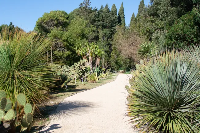 Lokrum botanicki-vrt