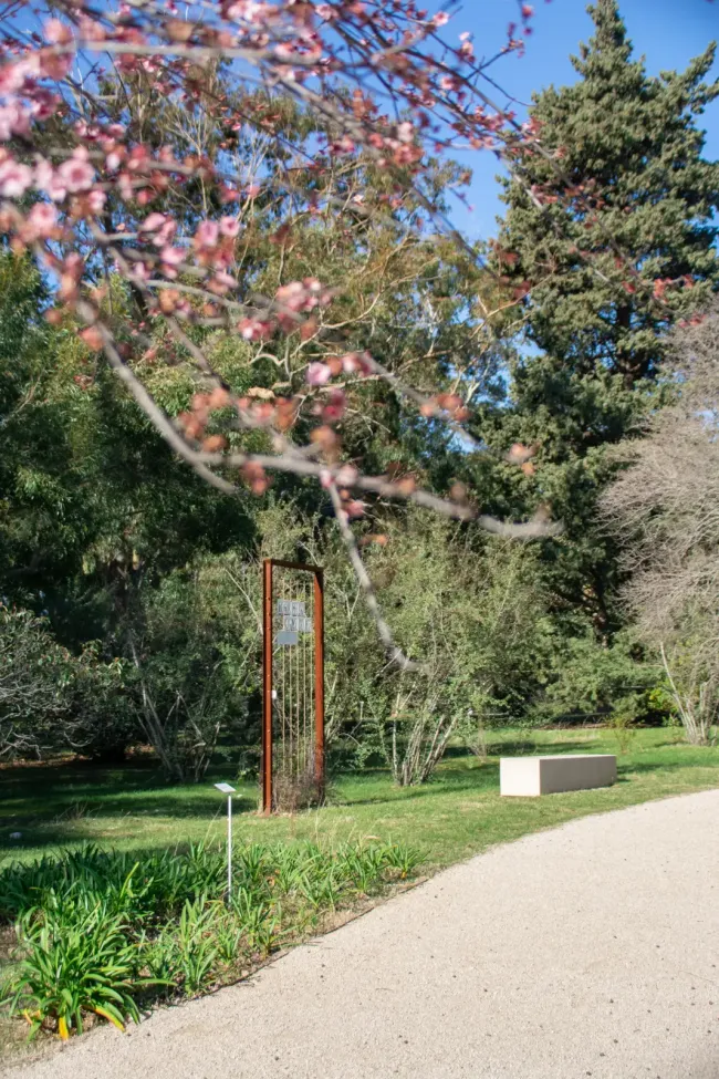 Lokrum botanicki-vrt