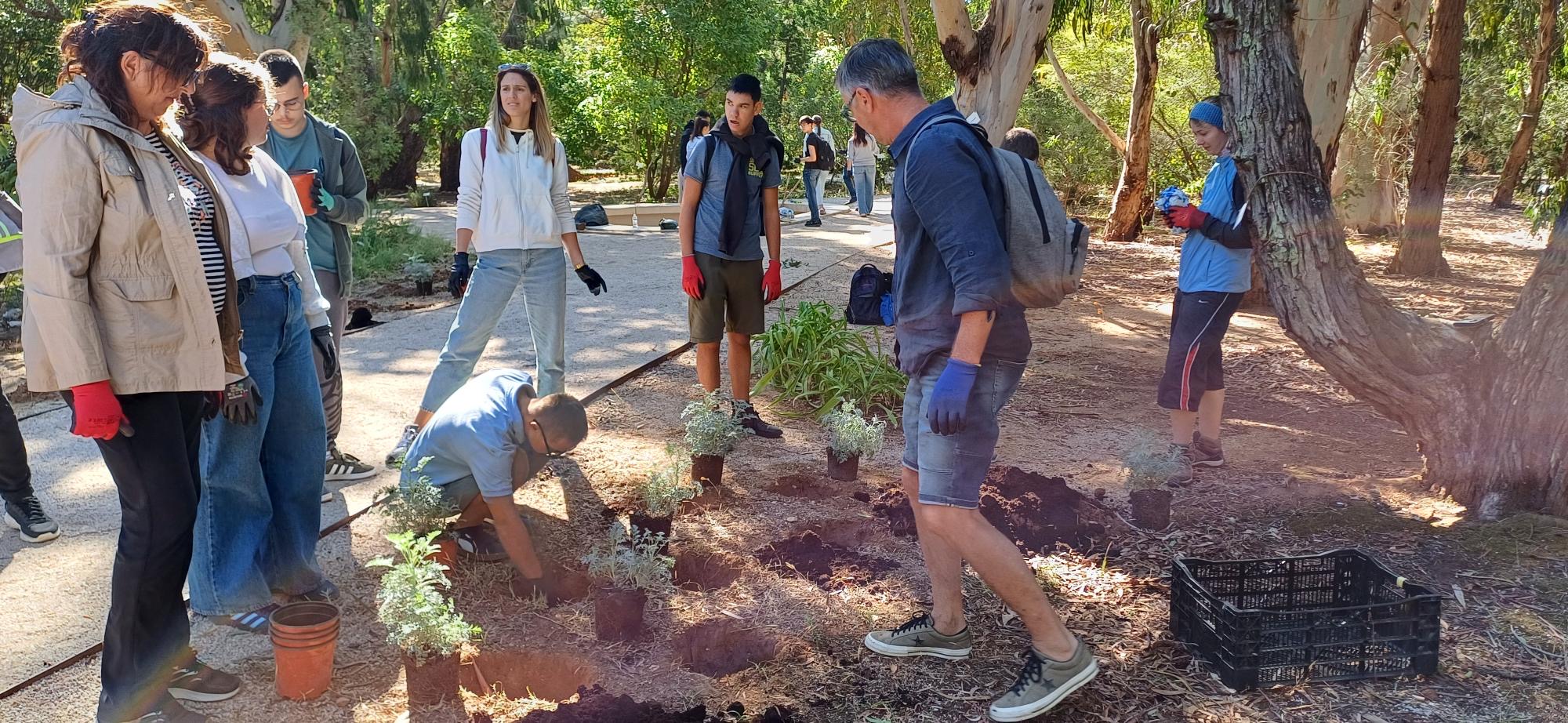Prvi dan jeseni u znaku sadnje: nastavlja se stvarati „Zeleno srce Lokruma“