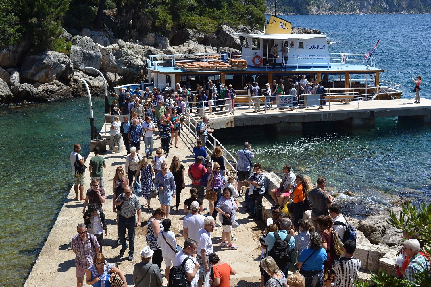 Ukupan rast neto prihoda 48,4 % u odnosu na 2015.g.