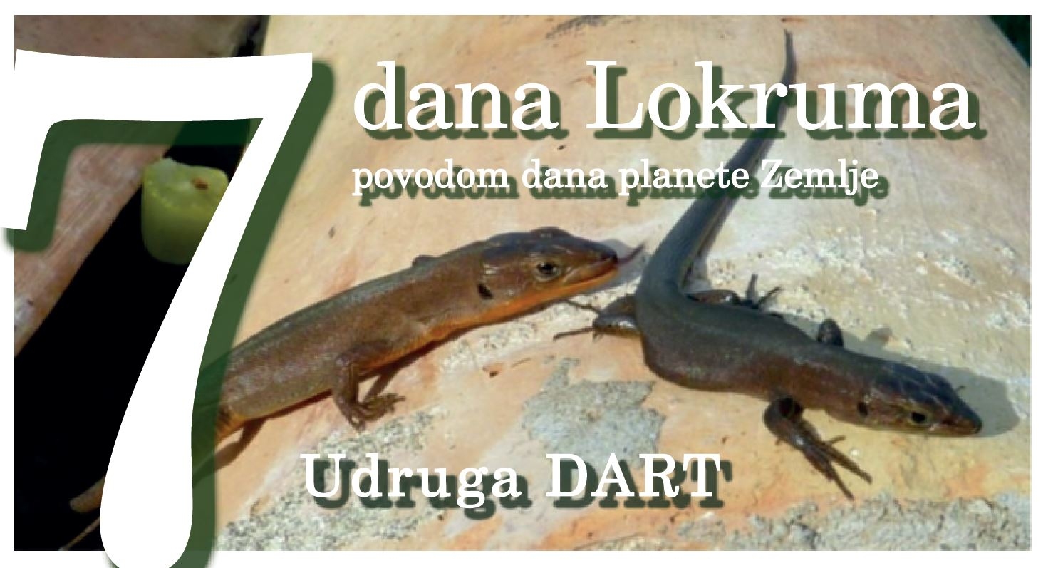 DART NA LOKRUMU
