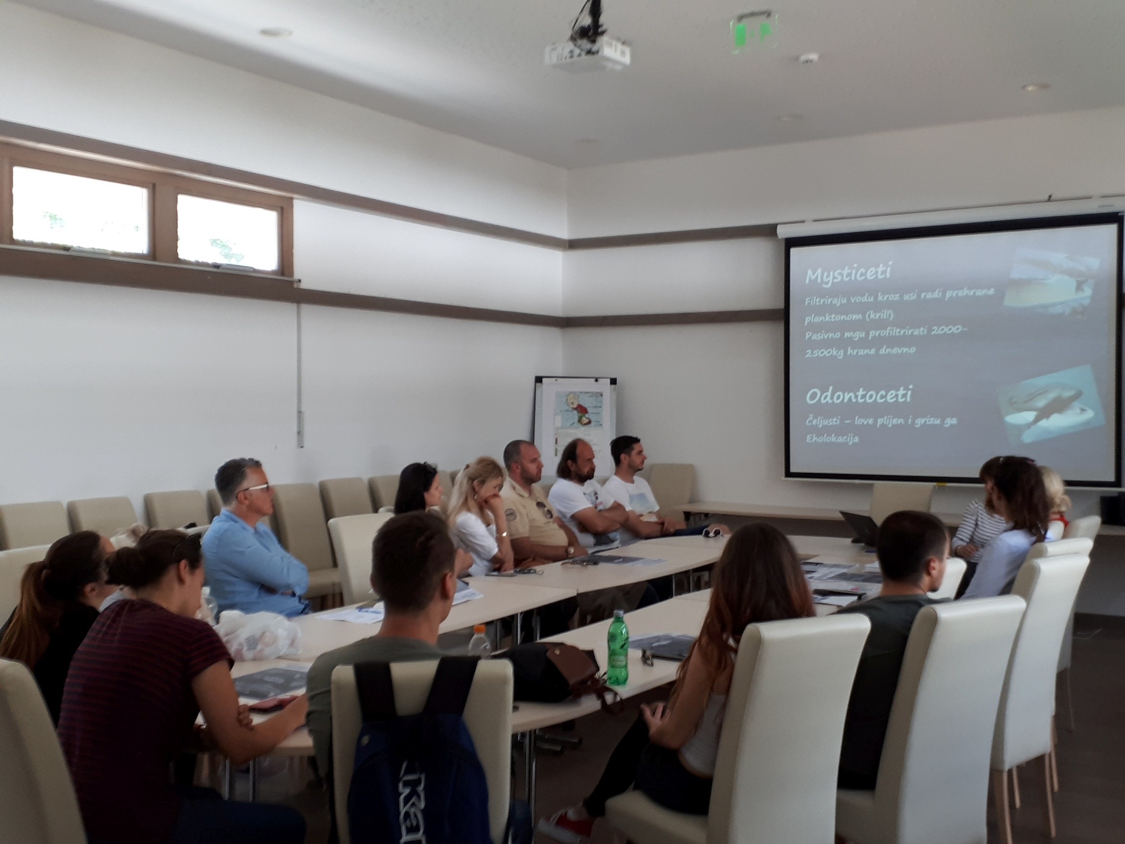 Edukativni program na Lokrumu: zbrinjavanje strogo zaštićenih morskih životinja