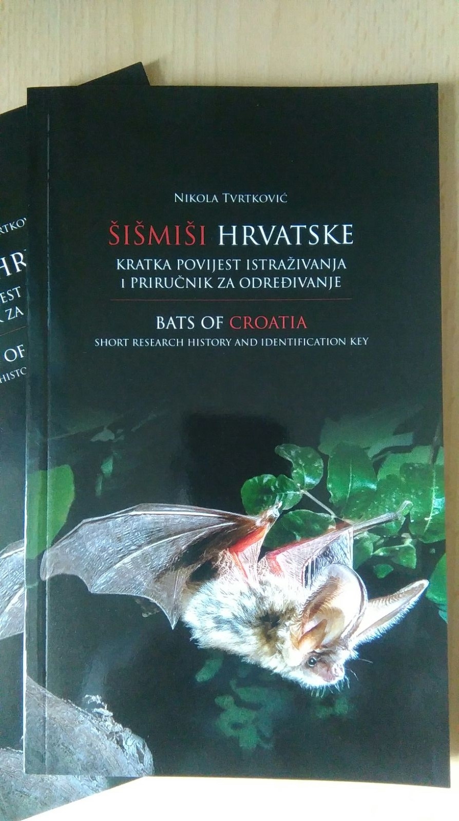  Lokrumski kolombatovićev dugoušan krasi naslovnicu knjige Šišmiši Hrvatske