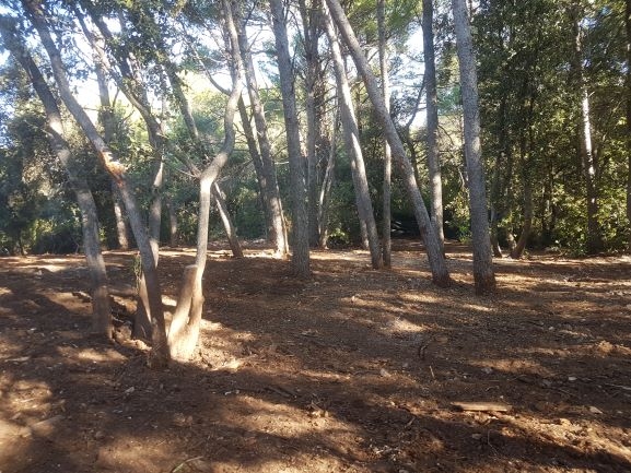 Lokrum - otok bez otpada