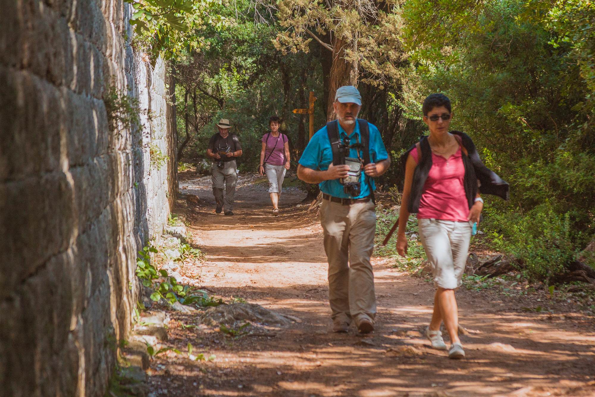 If you want to know more about a special reserve of forest vegetation, join us for an expert-led guided tour!