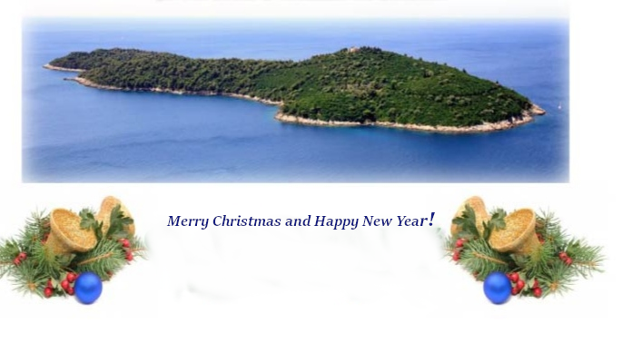 Merry Christmas & Happy New Year